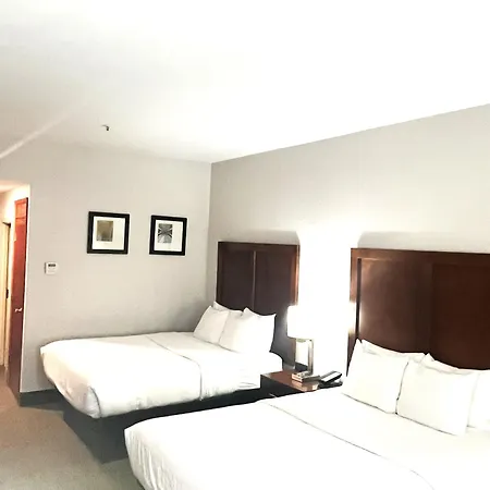 Comfort Inn & Suites Jackson North-3