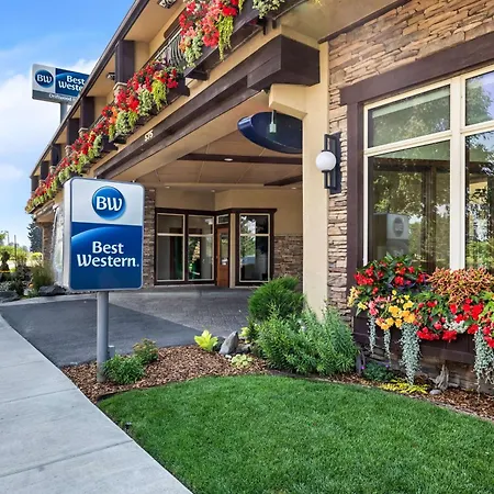 Best Western Driftwood Inn-3