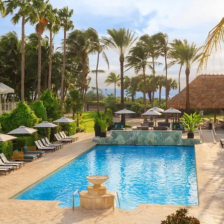 Kimpton Surfcomber Hotel By Ihg-3