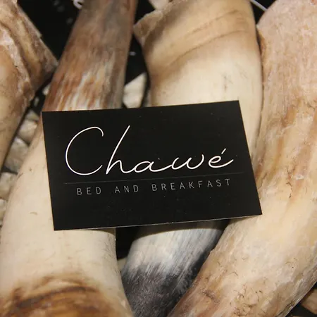 B & B Chawe-2