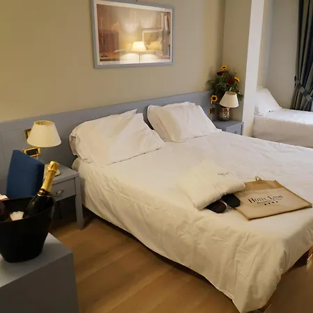 Hotel Lemi-3