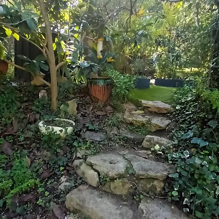 La Palmeraie-3