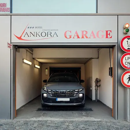 Hotel Ankora-3