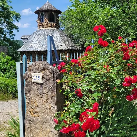 Le Manoir des Pélies Gîte et Chambres d'hôtes de charme à 6kms de Conques Spa, Piscine, Rivière, Thermes de Cransac-3