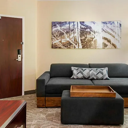 Springhill Suites By Marriott Wheeling Triadelphia Area-3