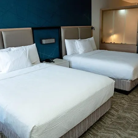 Springhill Suites By Marriott Woodbridge-2