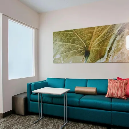 Springhill Suites By Marriott Chicago Schaumburg/Woodfield Mall-3