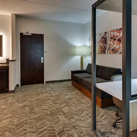 Springhill Suites By Marriott Birmingham Downtown At Uab-3