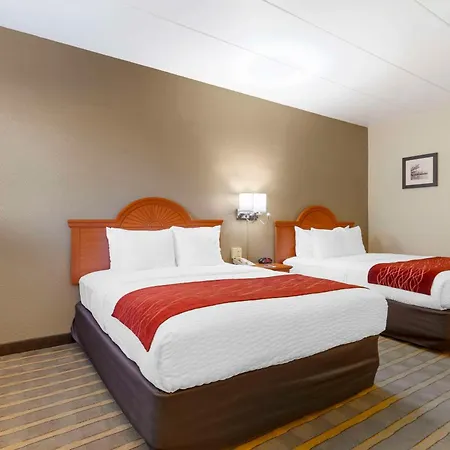 Comfort Inn University Center-3