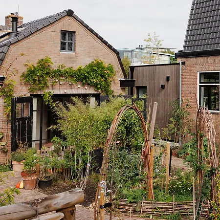 Guesthouse Rotterdam, Tinyhouse Nearby Kralingen-3