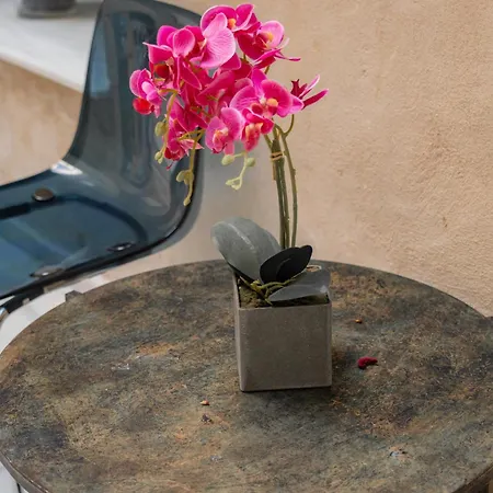 Center Suites San Eloy-2