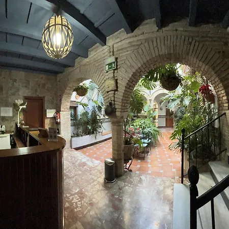 Pension Los Arcos-2