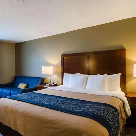 Comfort Inn Randolph-Boston-2
