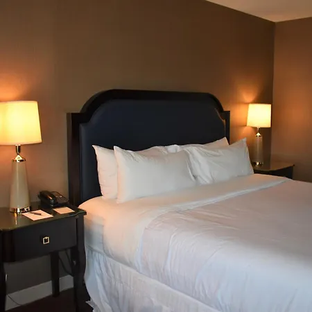 Sheraton Lisle Naperville Hotel-2