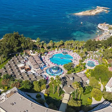 The Grand Blue Sky International-2