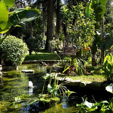 Casa Vela Charm Guest House-3