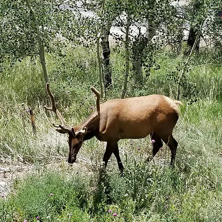 Kokopelli Inn-3