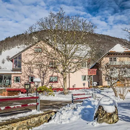 Landgasthaus Kurz Hotel&Restaurant am Feldberg - Schwarzwald-3