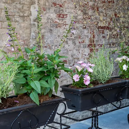Cozy And Budget-Friendly Stay In Tilburg For 2-2