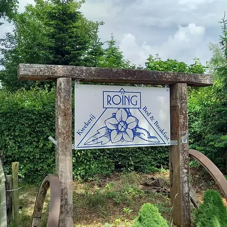 Roing B&B-2
