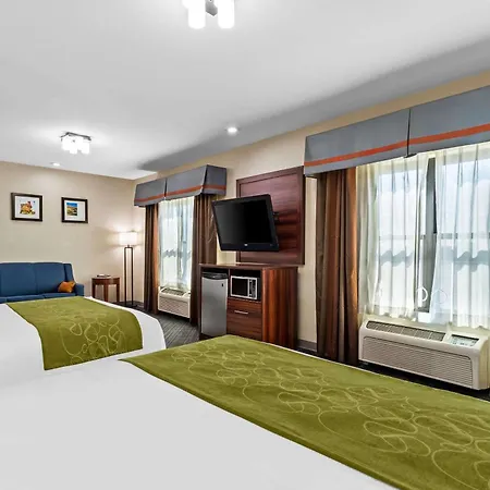 Comfort Suites Roswell North-3