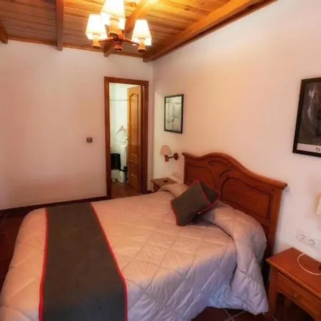 Hotel Las Palmeras By Vivere Stays-2