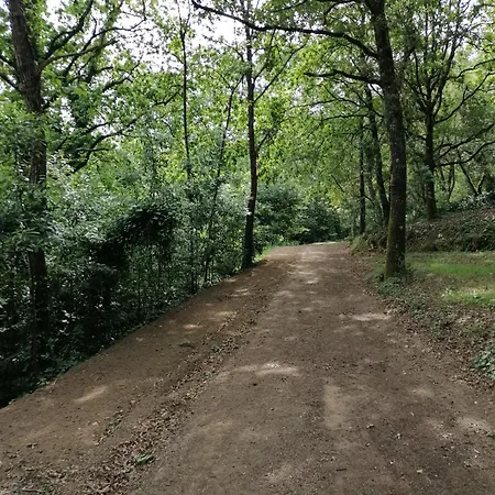 Quinta Mata Da Se-3