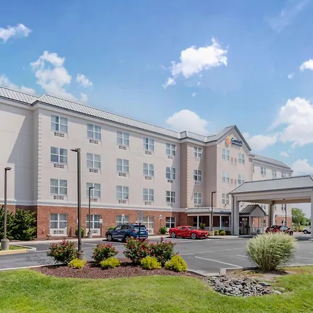 Comfort Inn & Suites Dover Near Speedway-3