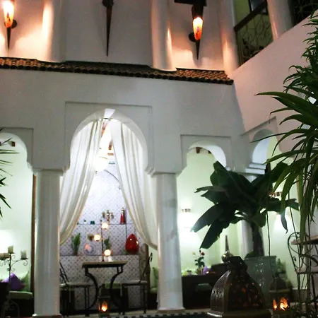 Riad Alida-2