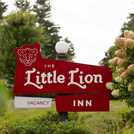 The Little Lion-3