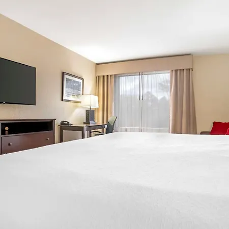 Best Western Gardendale-2