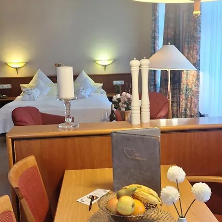 Aparthotel Hohenzollern-2