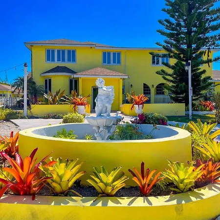 Golden Palms House-2