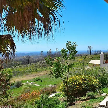 Quinta O Ninho Bed & Breakfast-3