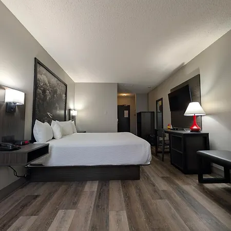 Super 8 By Wyndham Thunder Bay-2
