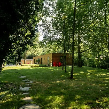De Rietreiger-2