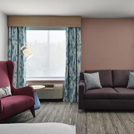 Hilton Garden Inn Tampa East Brandon-3