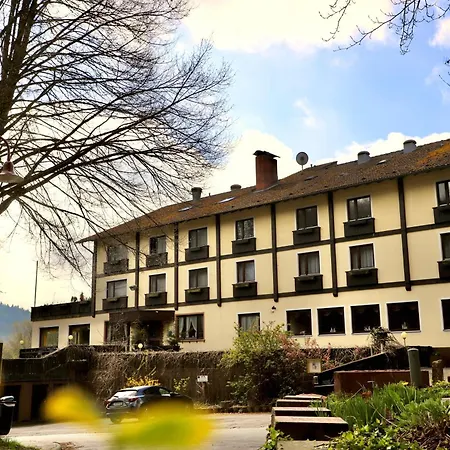 Hotel Gassbachtal-2