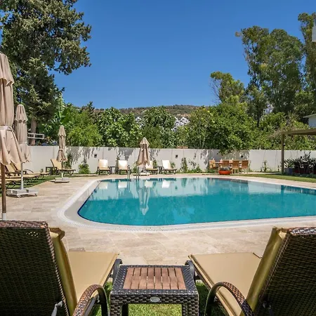 Olive Tree Hotel-3