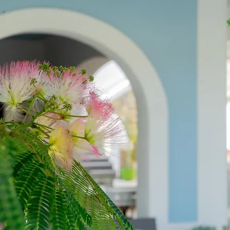 Villa Acacia-2