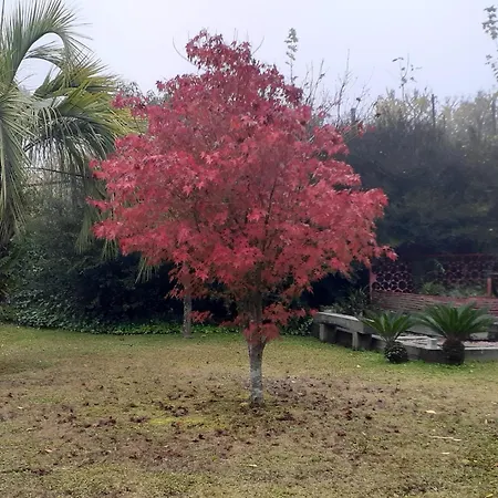 Cappio Pousada e Lazer-3