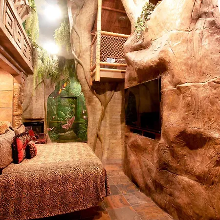 Black Swan Inn Luxurious Theme Rooms-2