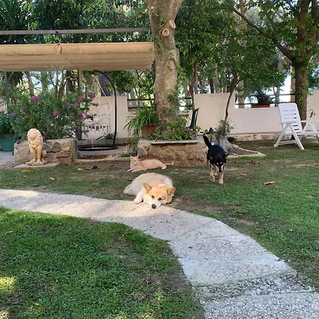 Villa Isabella-2