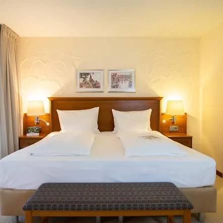 Parkhotel De Wiemsel-2