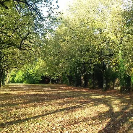 Domaine de Carrière-2