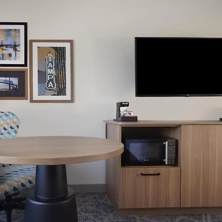 Hampton Inn & Suites Tampa-North-2