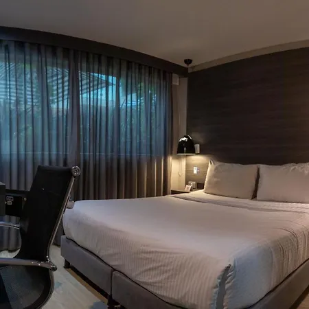 The Blue Hotel-2