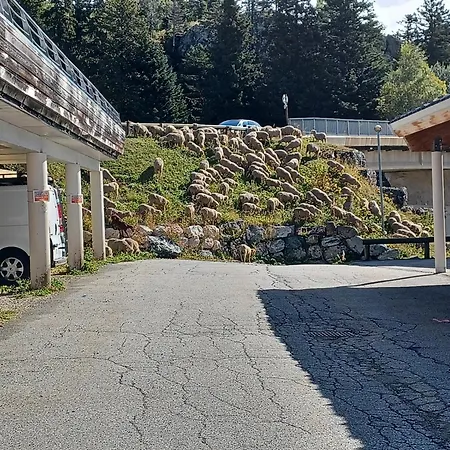 Residence L'Ecrin Des Neiges-3