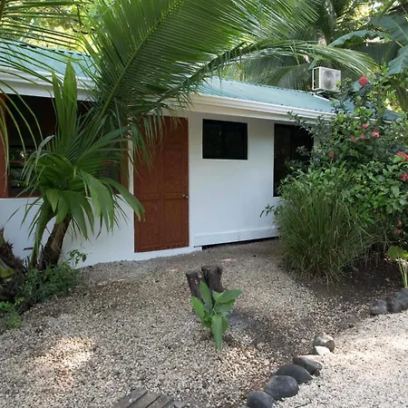 Jungles Edge Hotel, Jiu Jitsu, Muay Thai Retreat Center-3