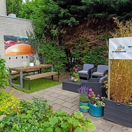 B&B de Koepeltjes-3